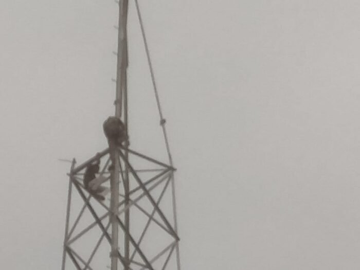 WhatsApp Image 2023-10-06 at 5.24.20 PM